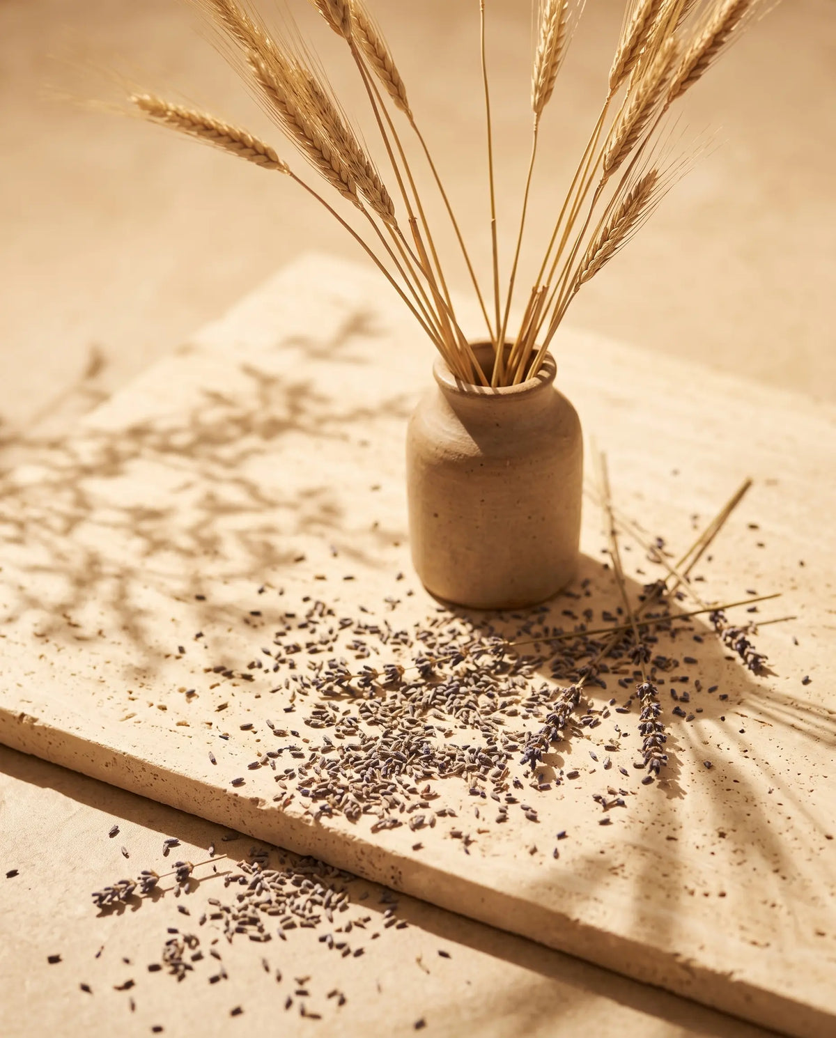 Sun-drenched still life of dried wheat grass in a small stoneware vase with scattered dried lavender on a warm sandstone surface — Sirela Sun Protection & Daily Defense collection