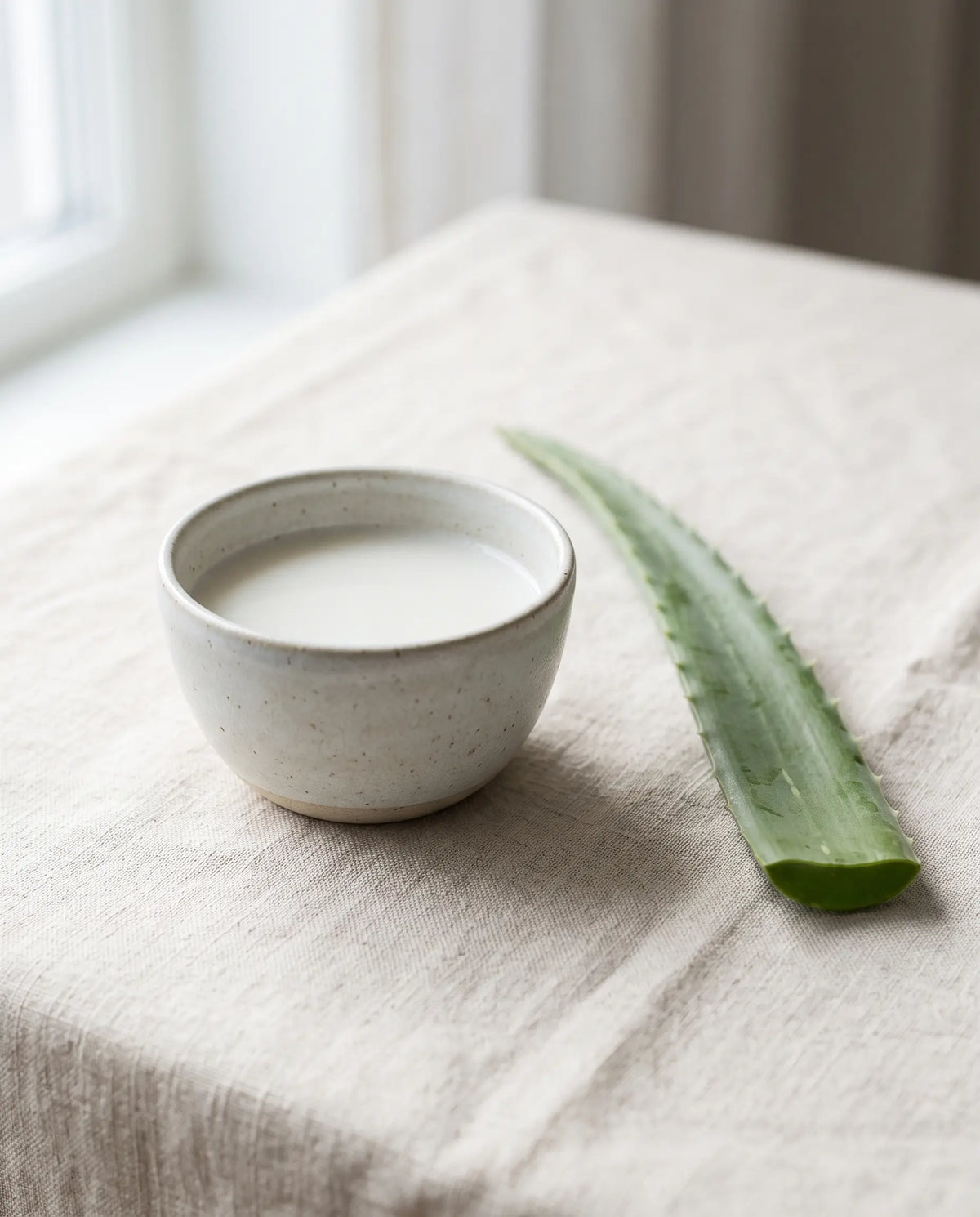 Quiet still life of a stoneware bowl of milky white liquid beside a fresh aloe vera leaf on cream linen, soft window light — Sirela Sensitive & Reactive Skin collection